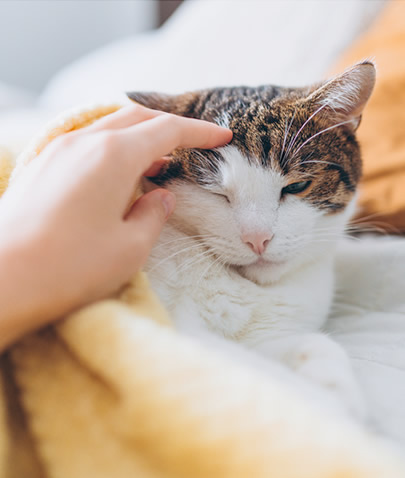 穩達生技專業支持