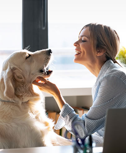 穩健汪喵派起心動念